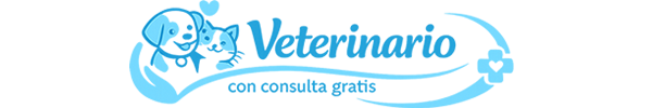 Veterinario Gratis Madrid
