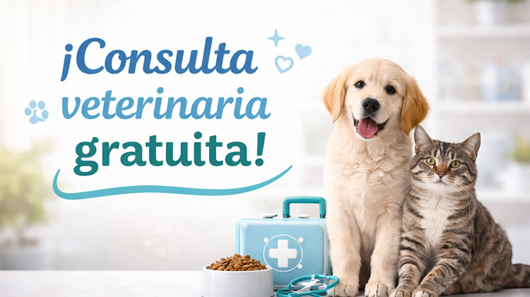 Consulta Veterinaria Gratuita